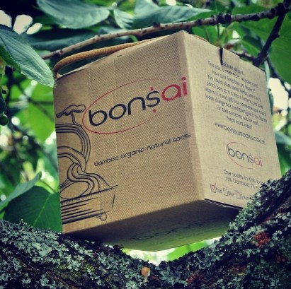 Small box. Bonsai socks. 