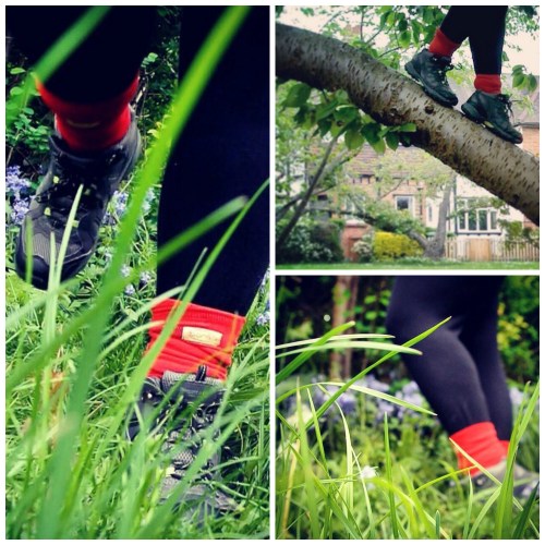 Bamboo Socks. Bonsai. Grass.