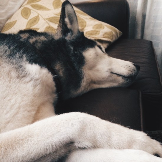 Processed with VSCOcam with hb2 preset