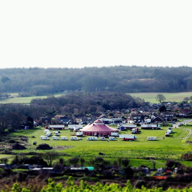 OLYMPUS DIGITAL CAMERA